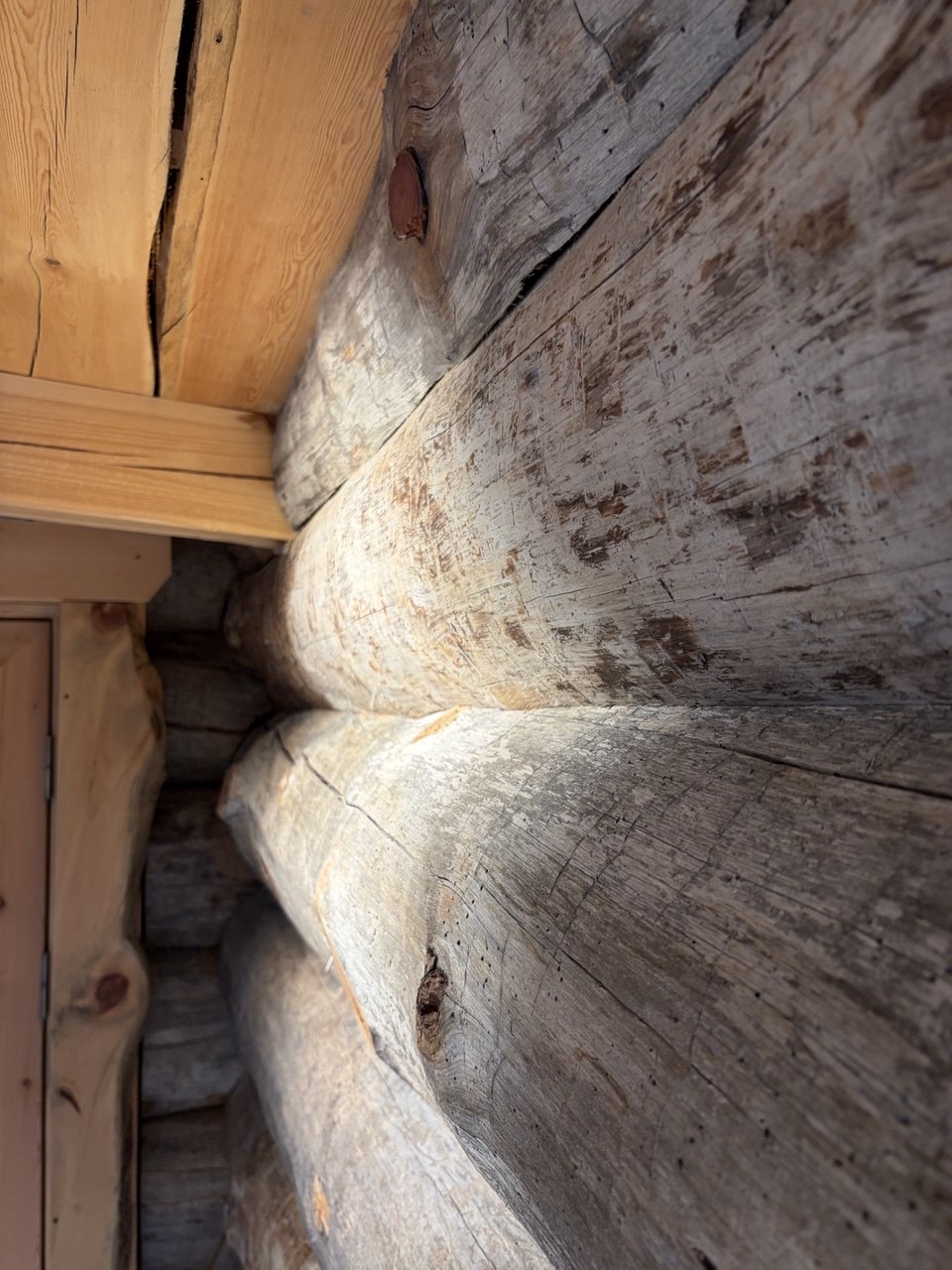 бревна кело в Савицких банях